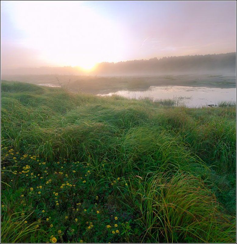 Рассвет Разнотравная фото превью