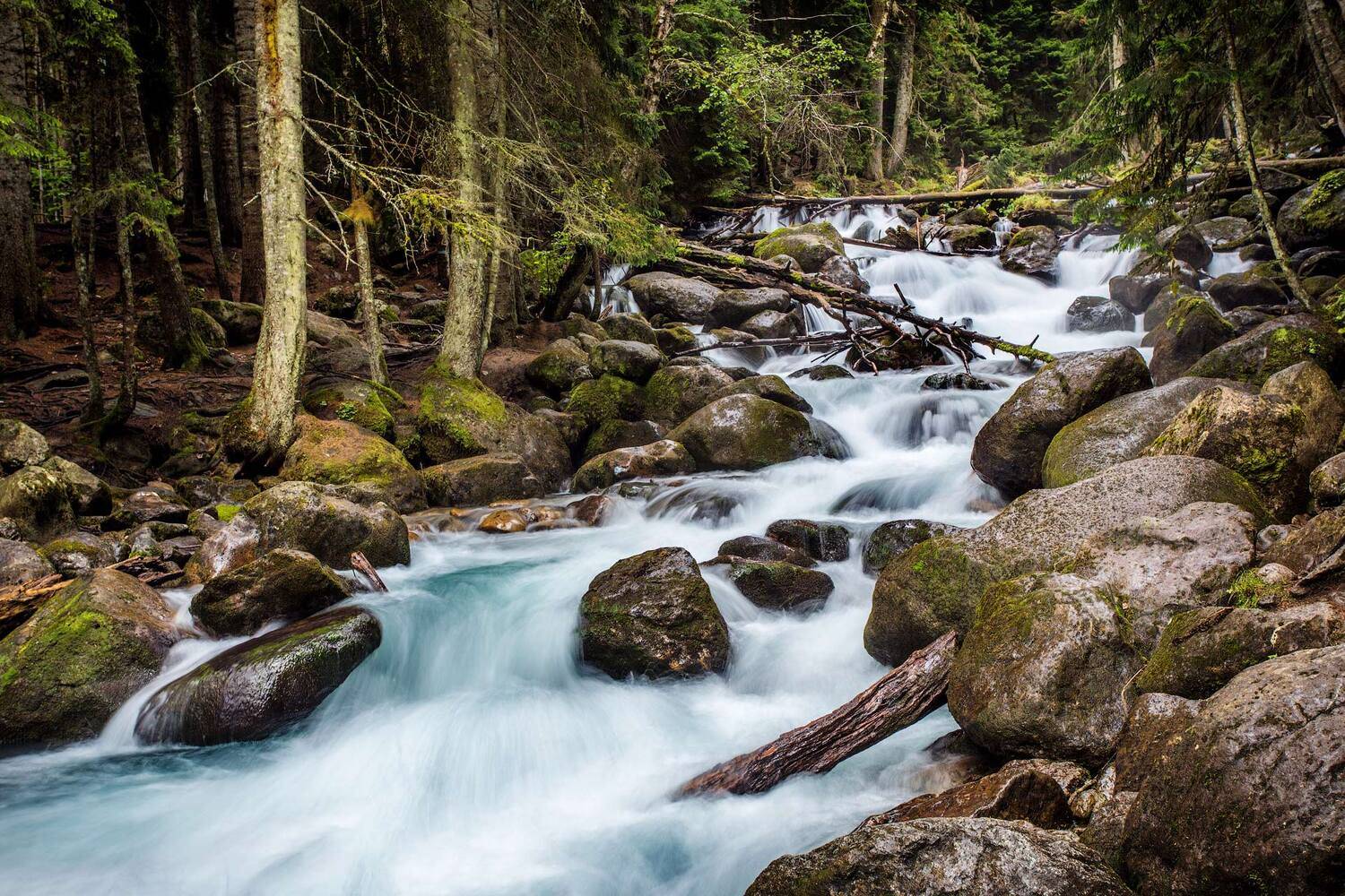 , Вадим Ходаковский