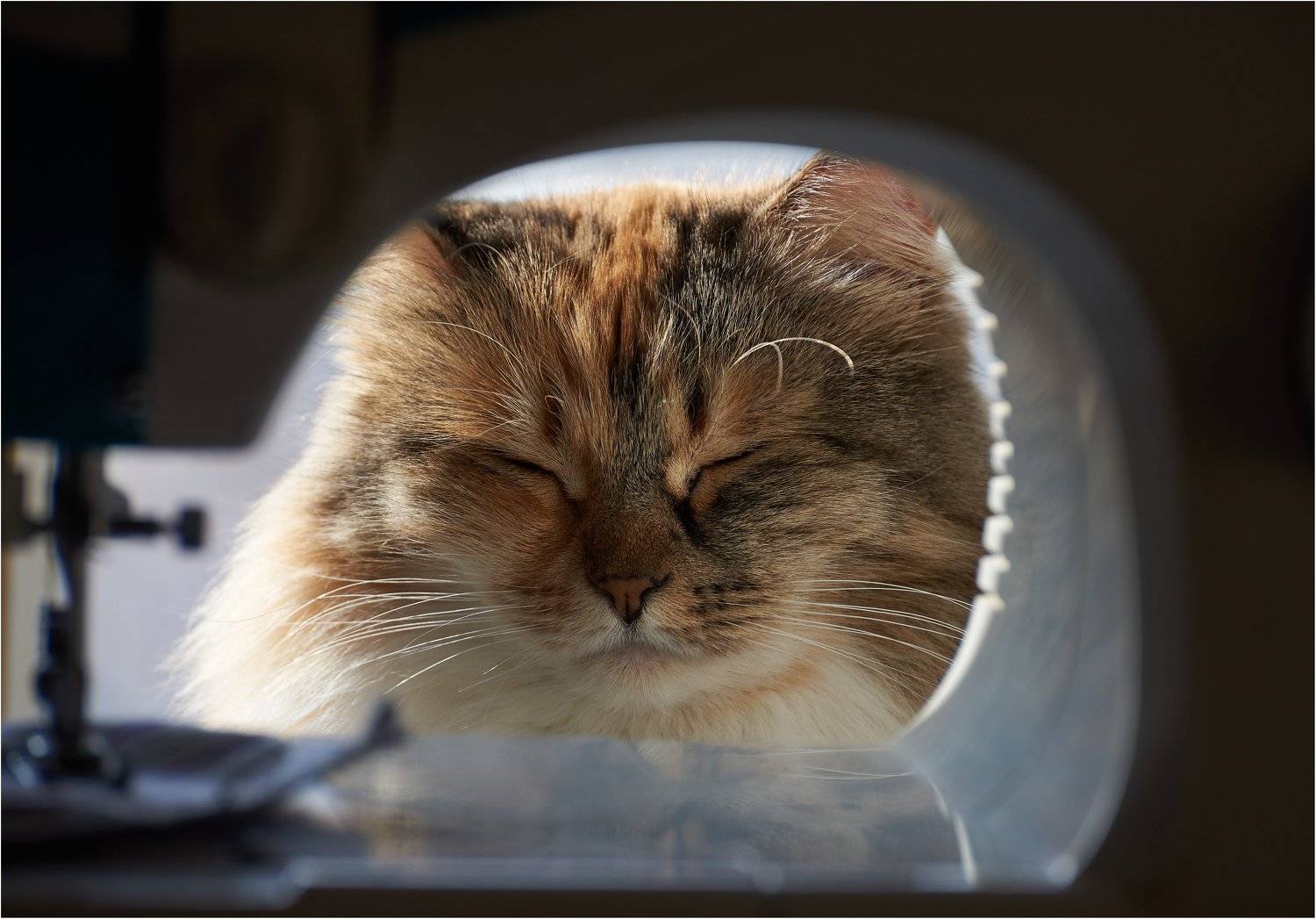 , Владимир Краснов