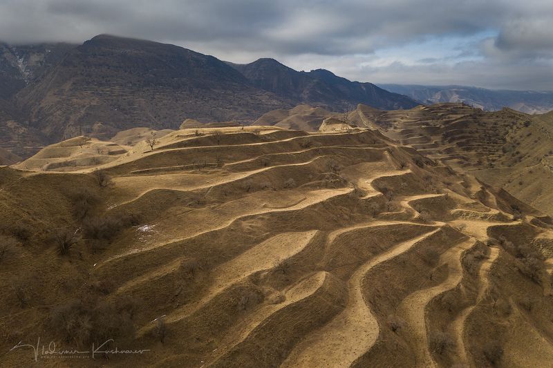 ТЕРРАСЫ ГОРНОГО ДАГЕСТАНА фото превью