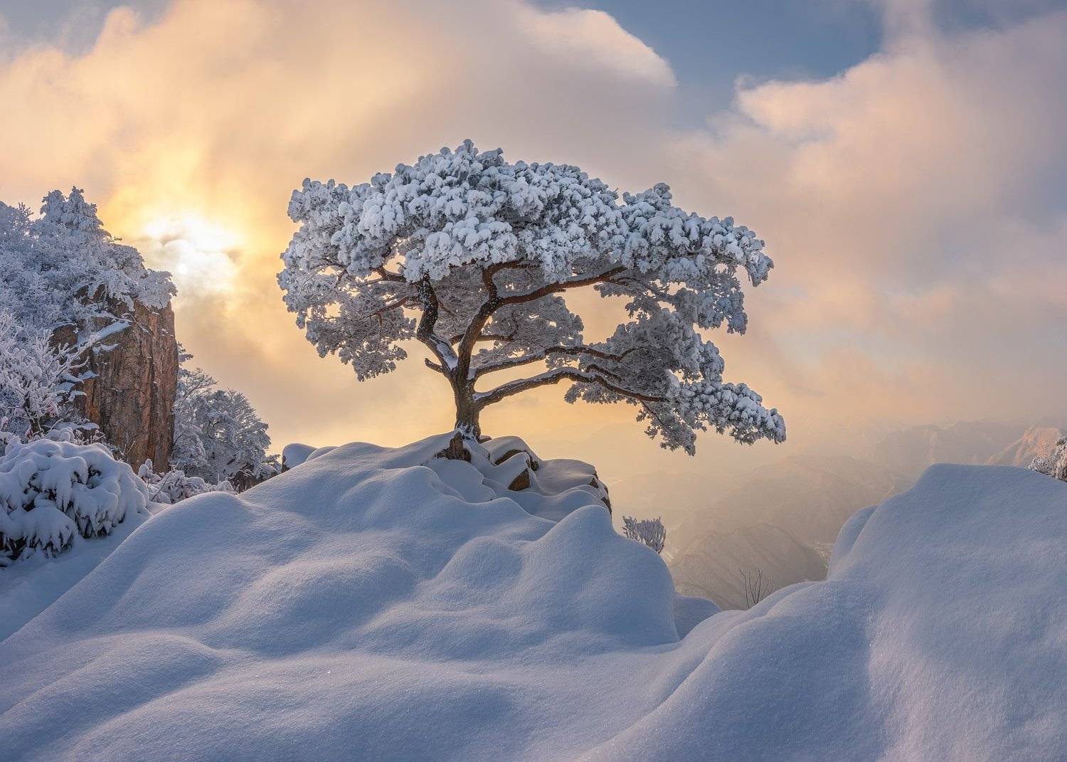mountains,peak,hiking,fog,clouds,mood,tree, Jaeyoun Ryu
