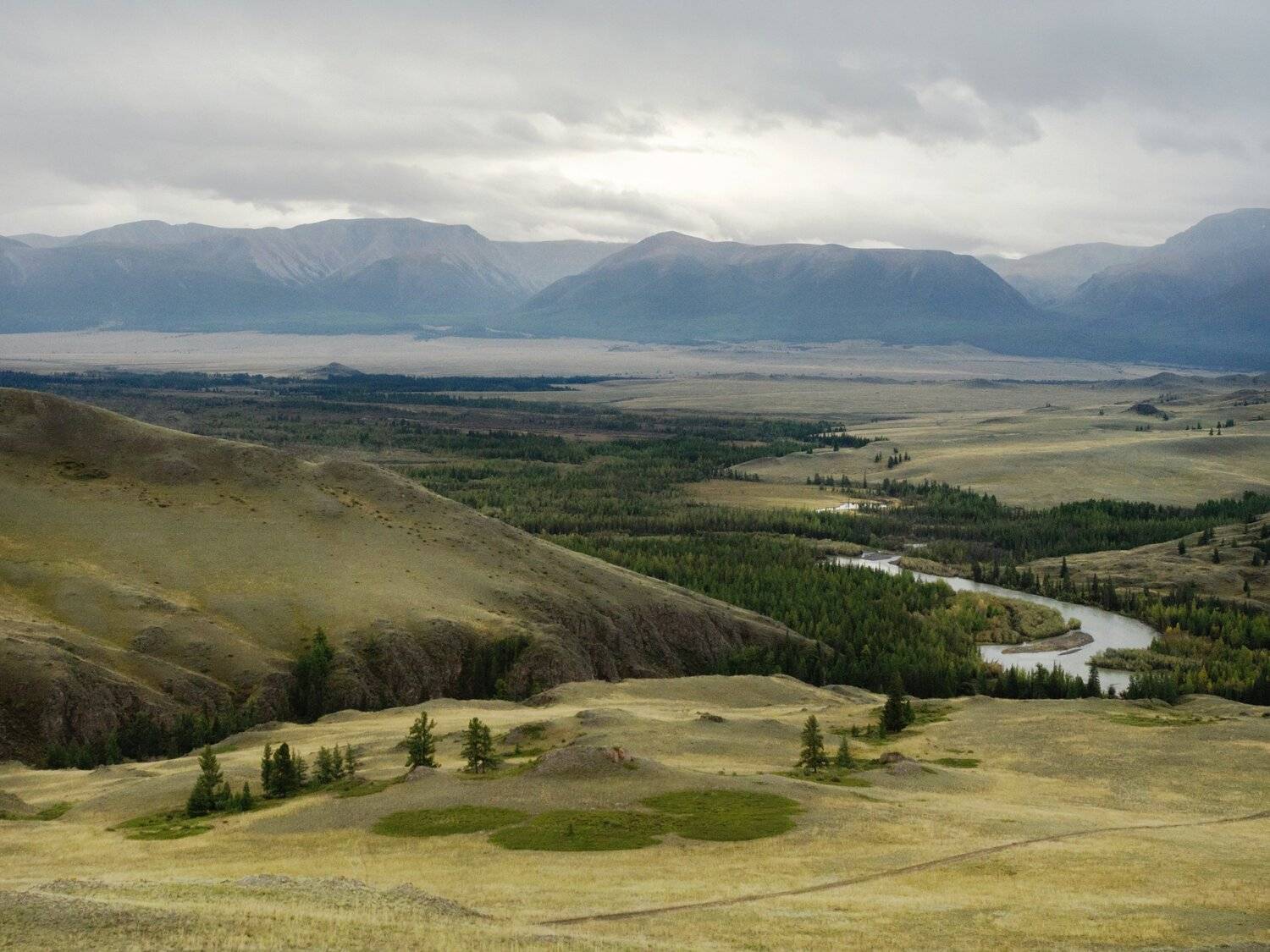 , Ольга Беккер