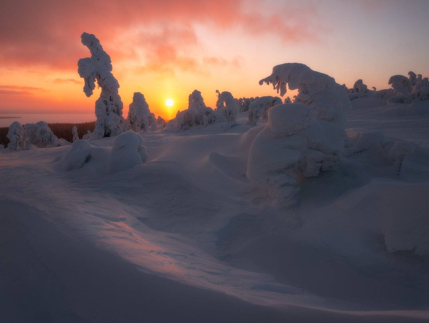 пейзаж,кольский,север,апатиты,мурманская область,зима,закат,nikon, Виталий Истомин