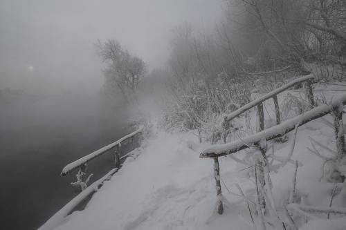 Зимний берег