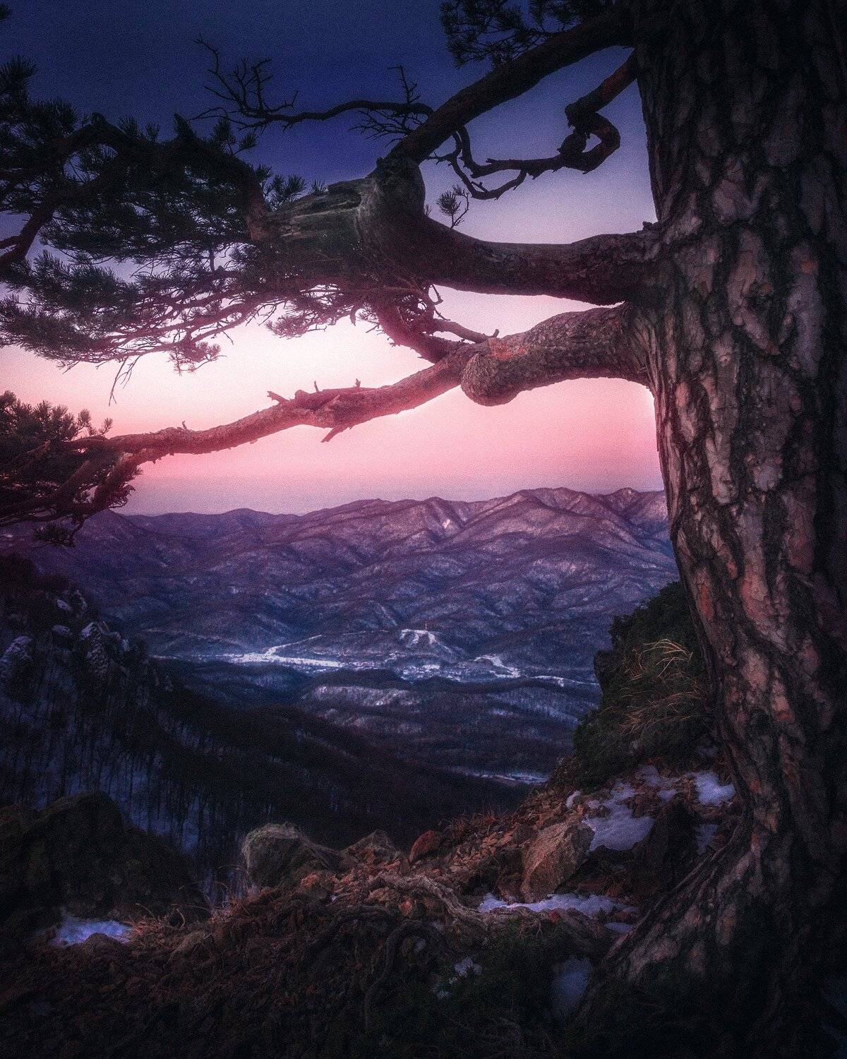 , Сергей Лукашенко