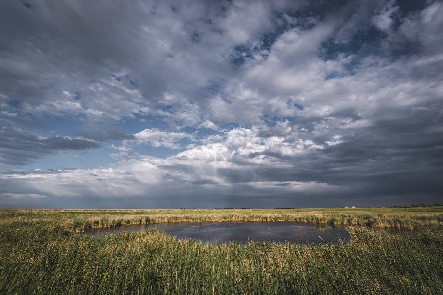 , Денис Храмеев