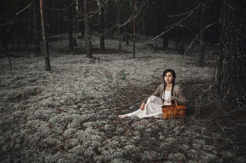 лес, удмуртия, мох Сказочный лес фото превью