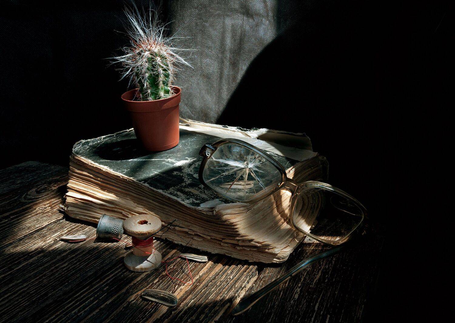 , Ирина Данилова