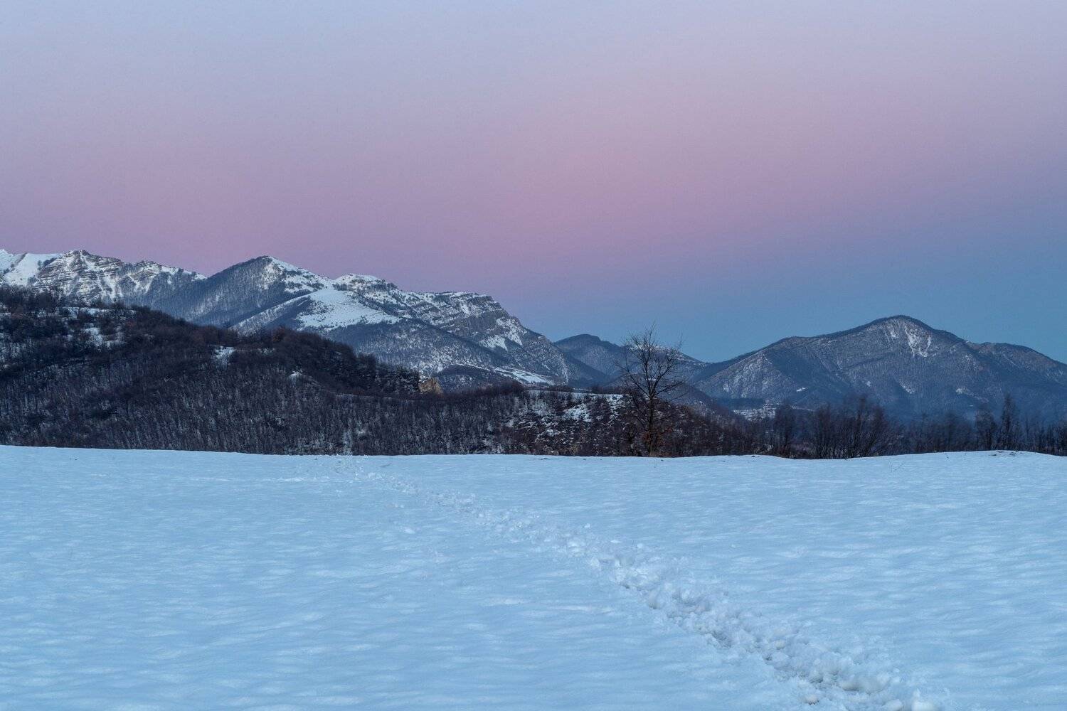 , Александър Сандев