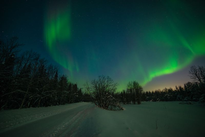 aurora borealis, северное сияние,хибины,север,кольский,заполярье,апатиты,мороз, В объятиях сияния. фото превью