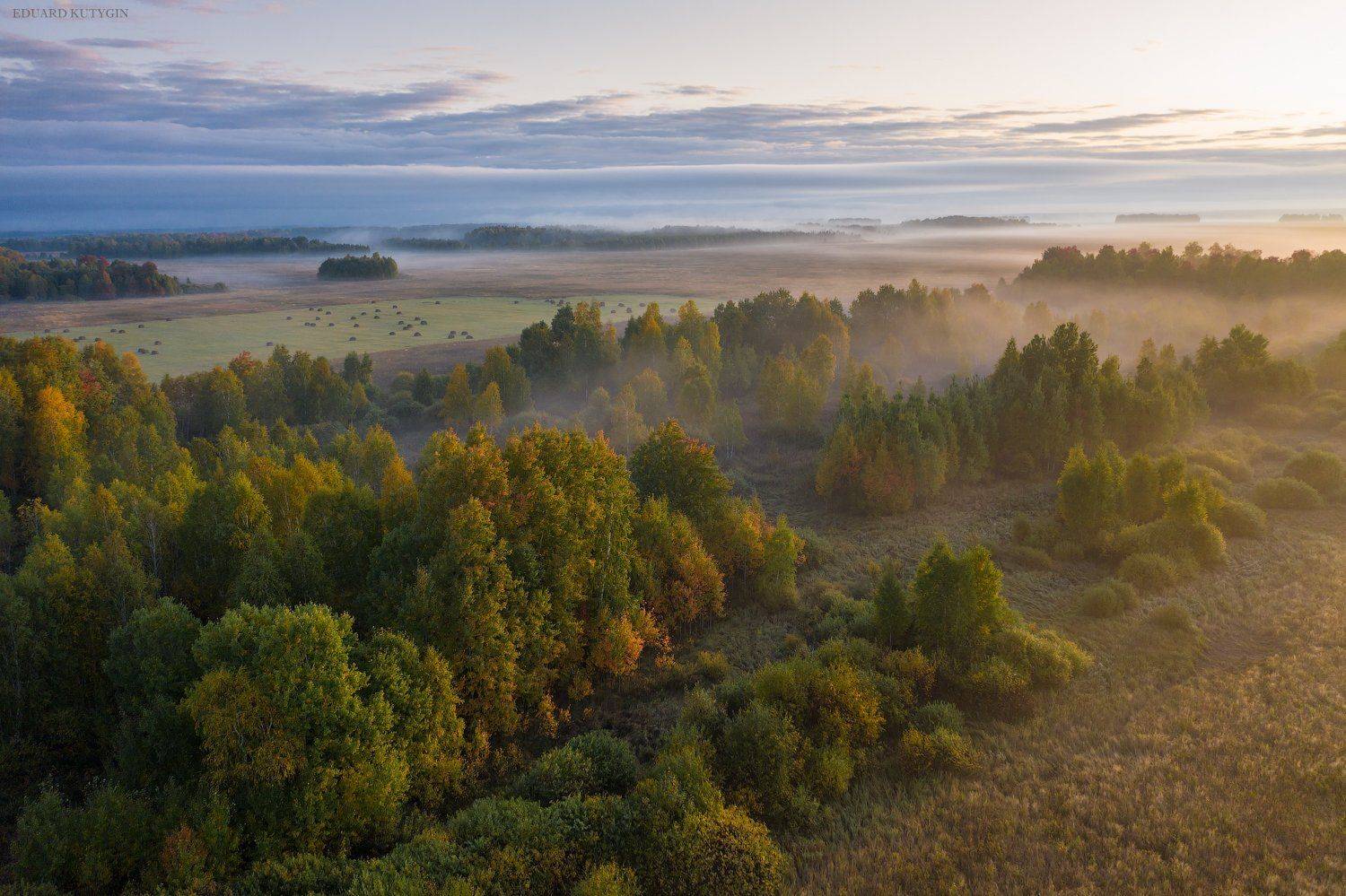Зауралье Курганская, Кутыгин Эдуард