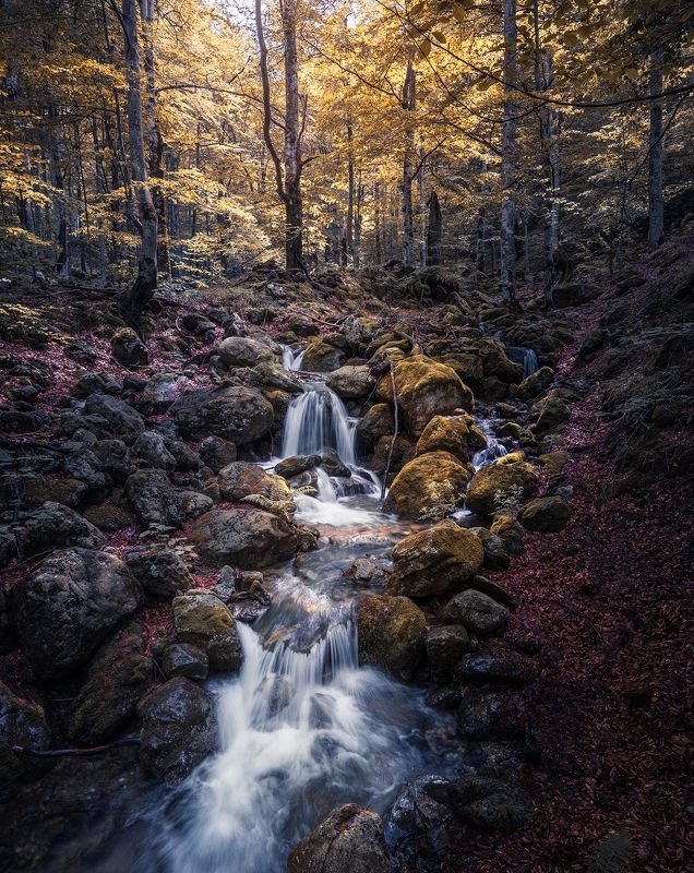 Autumn overflow фото превью