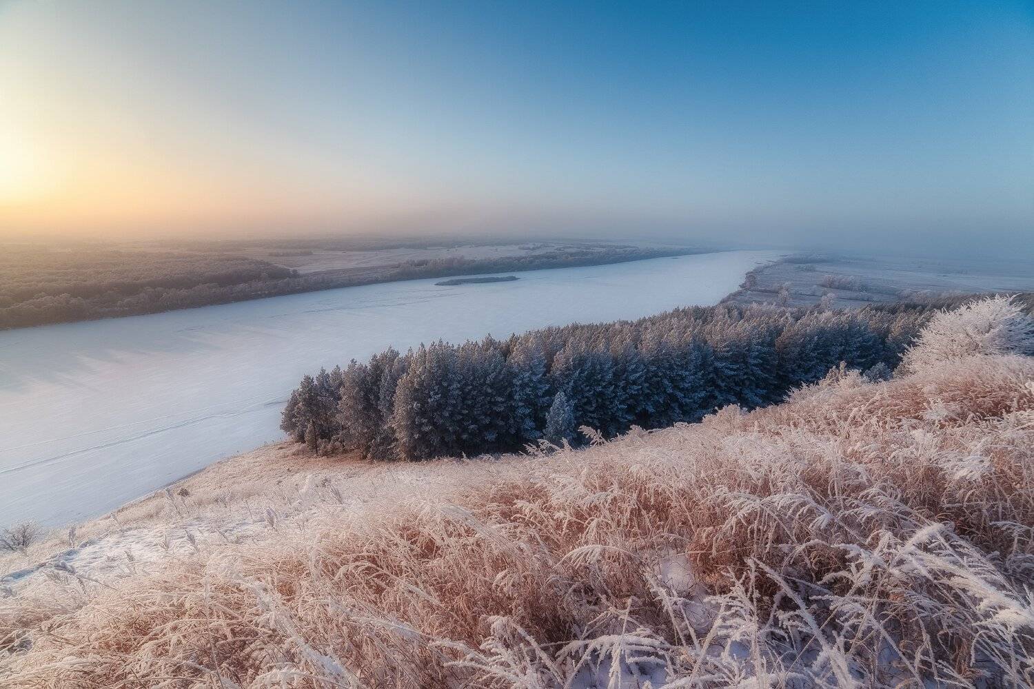 , Алексей Никитин