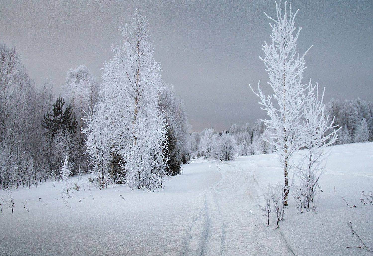 , Александр  Швачко
