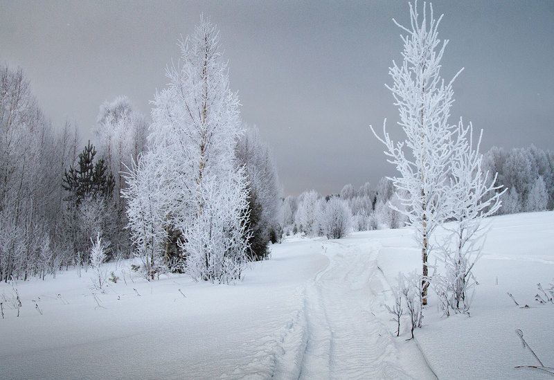 Подмораживает... фото превью