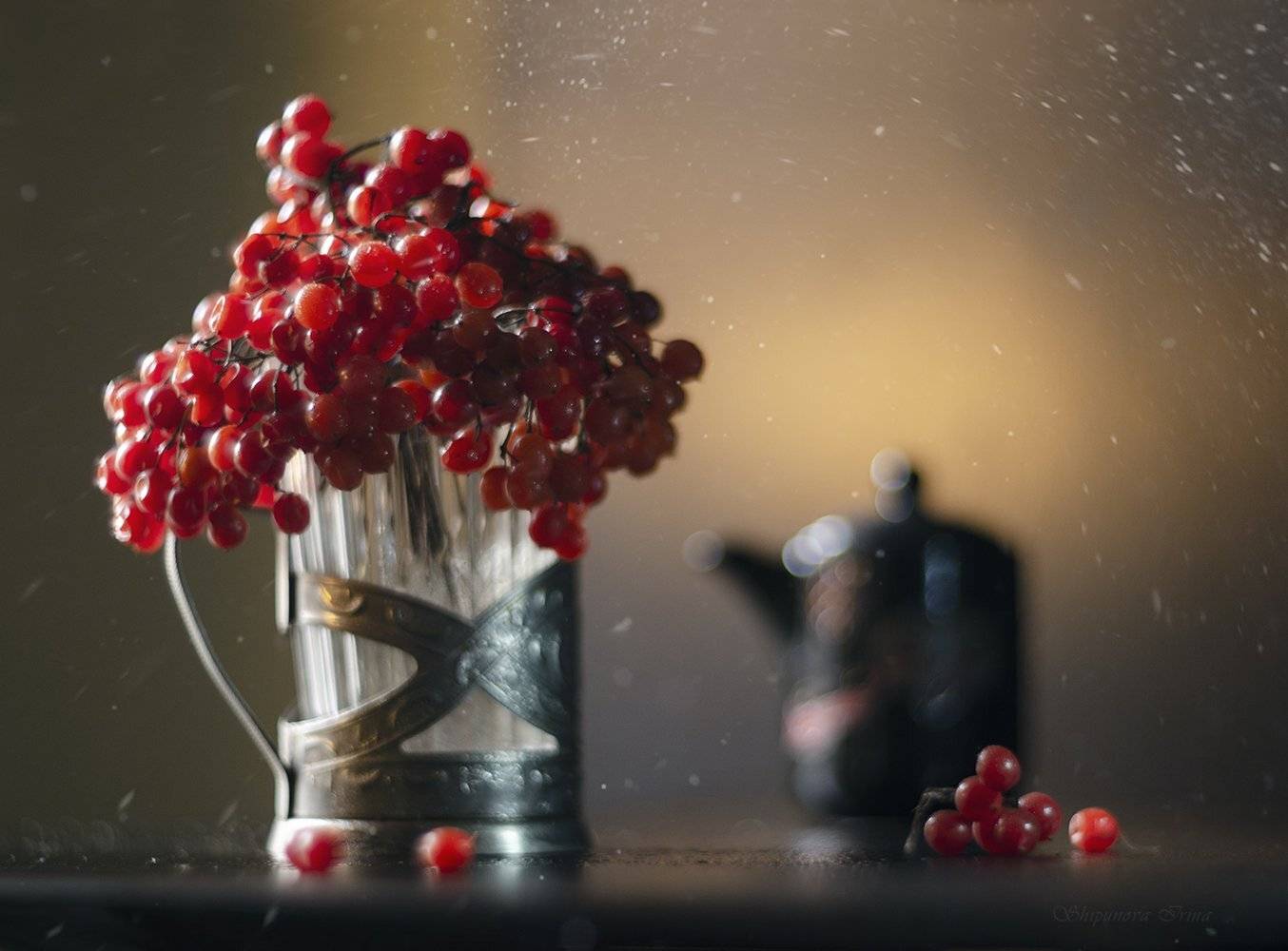 , Шипунова Ирина