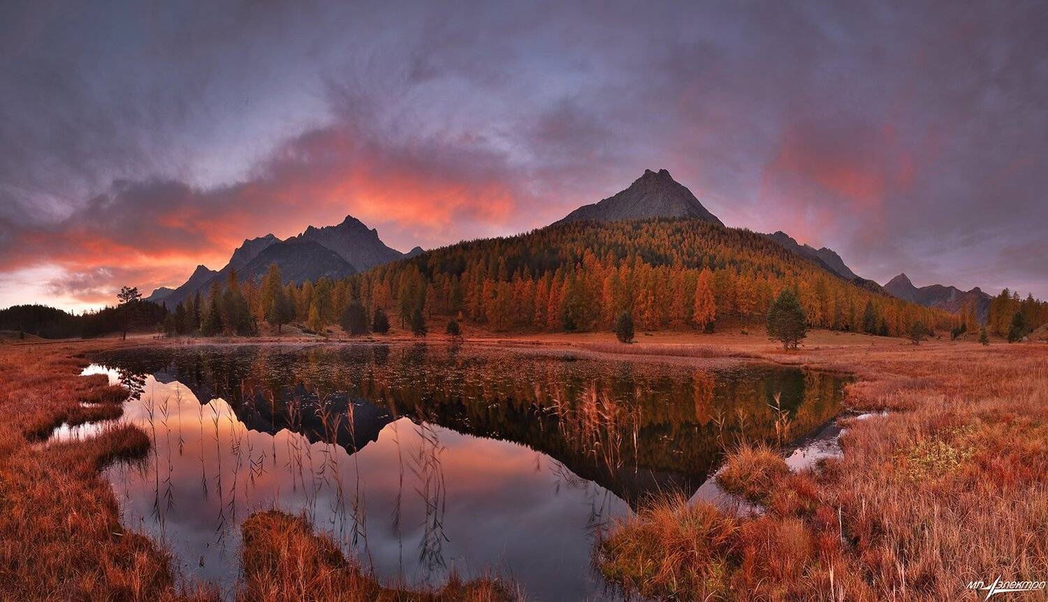 swiss, Матвеев Николай