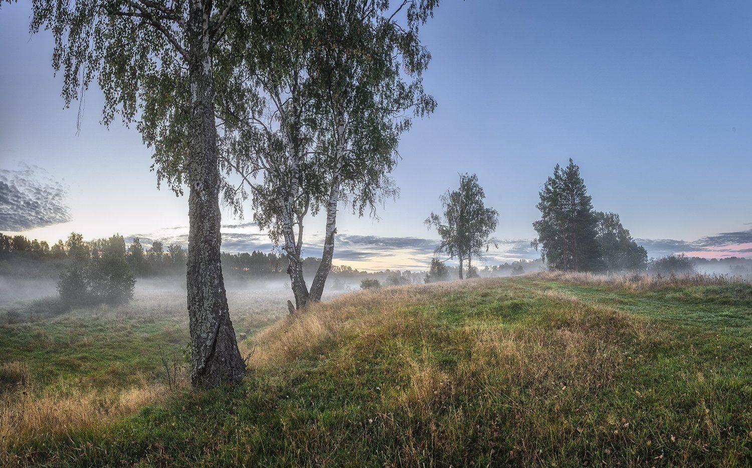 , Николай Андреев