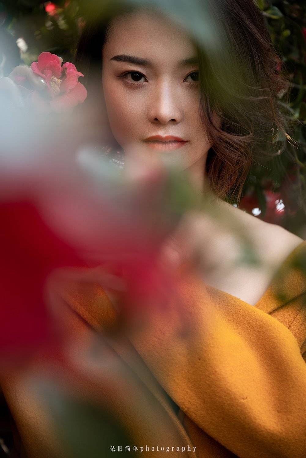, vijstudio