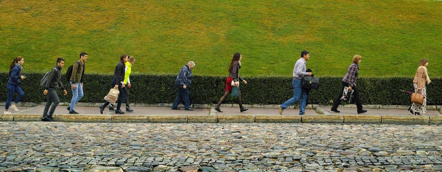 , Лариса Лофицкая