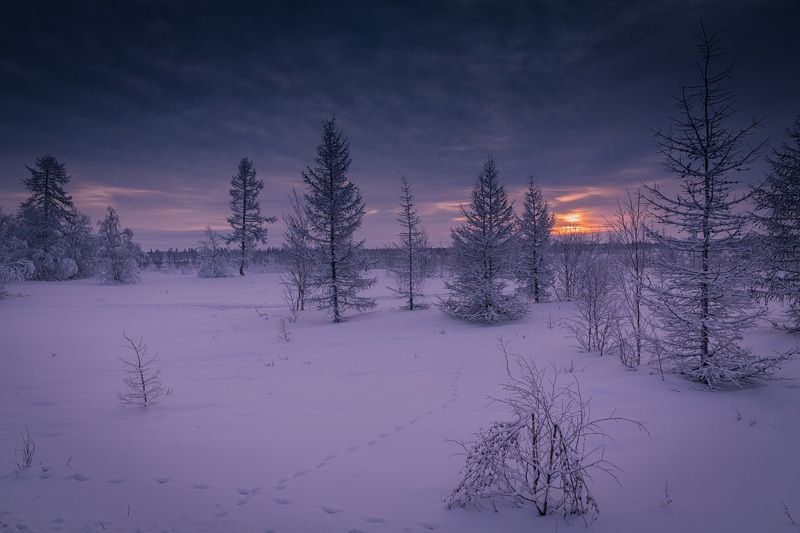 * * * фото превью