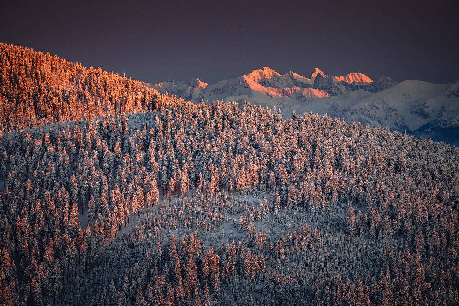 mountains, winter, poland, slovakia, sunset, Michał Kasperczyk