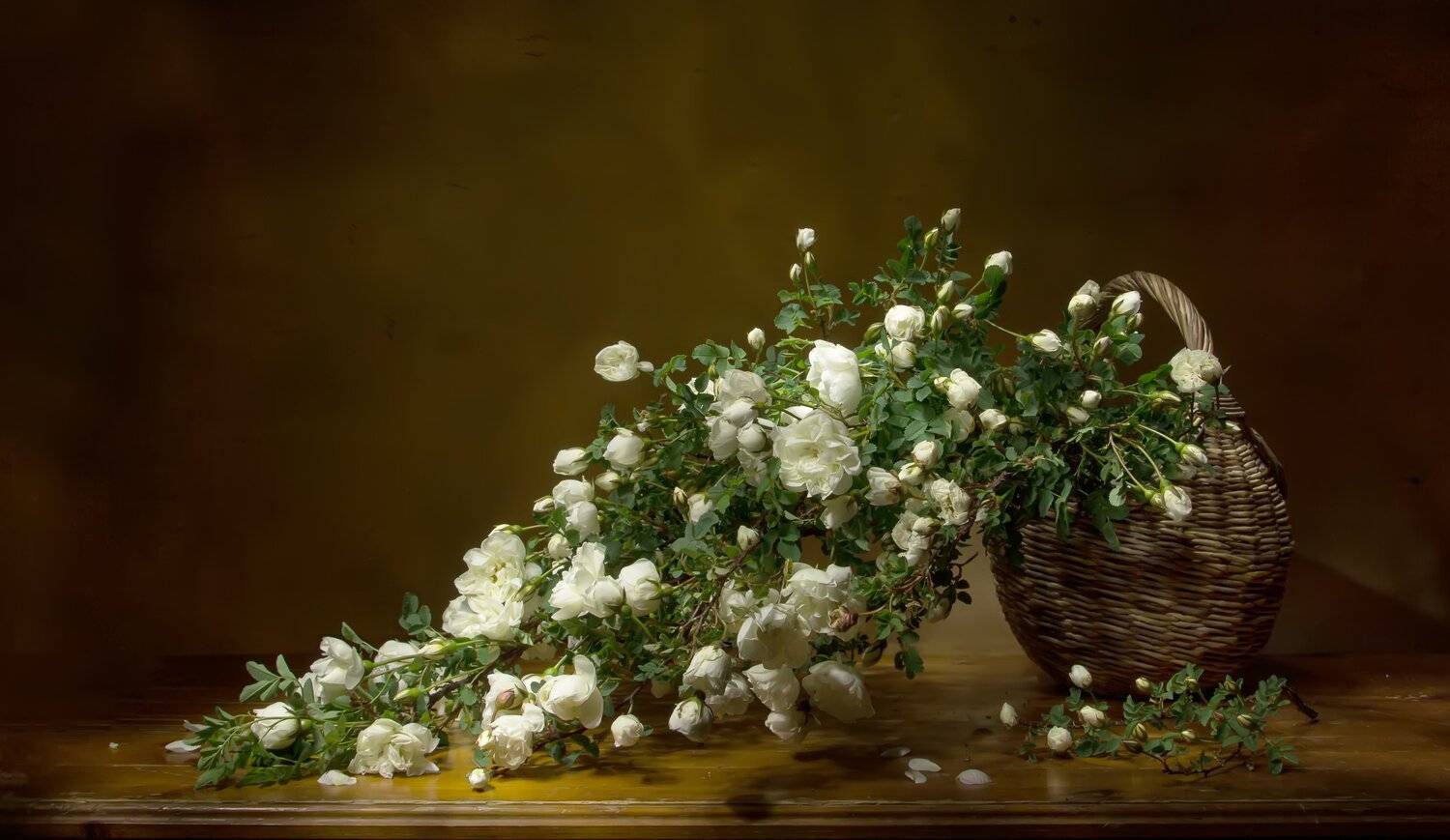 натюрморт, шиповник, белый шиповник, Татьяна Феденкова