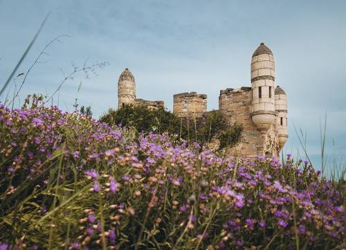 О крепости июньских мемуаров.