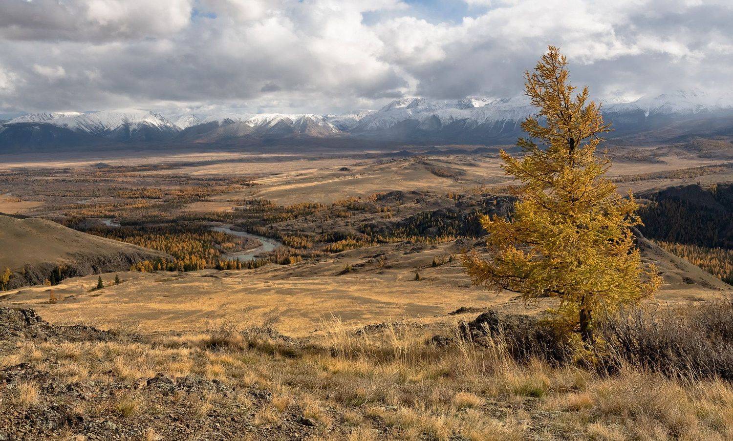 алтай, северо-чуйский хребет., осень 2020, Марина Фомина