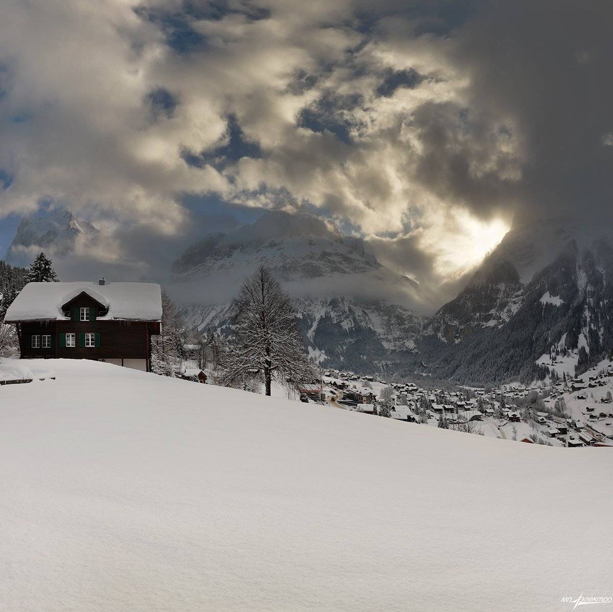 swiss, Матвеев Николай