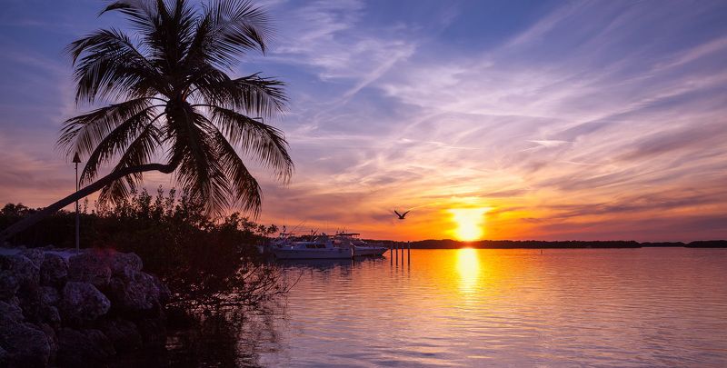 пейзаж,флорида,закат,отражения,небо,key west,яхты,корабли,вода,облака, Key West.Florida. фото превью