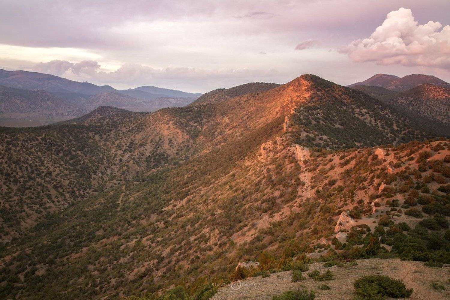 , Станислав Аристов