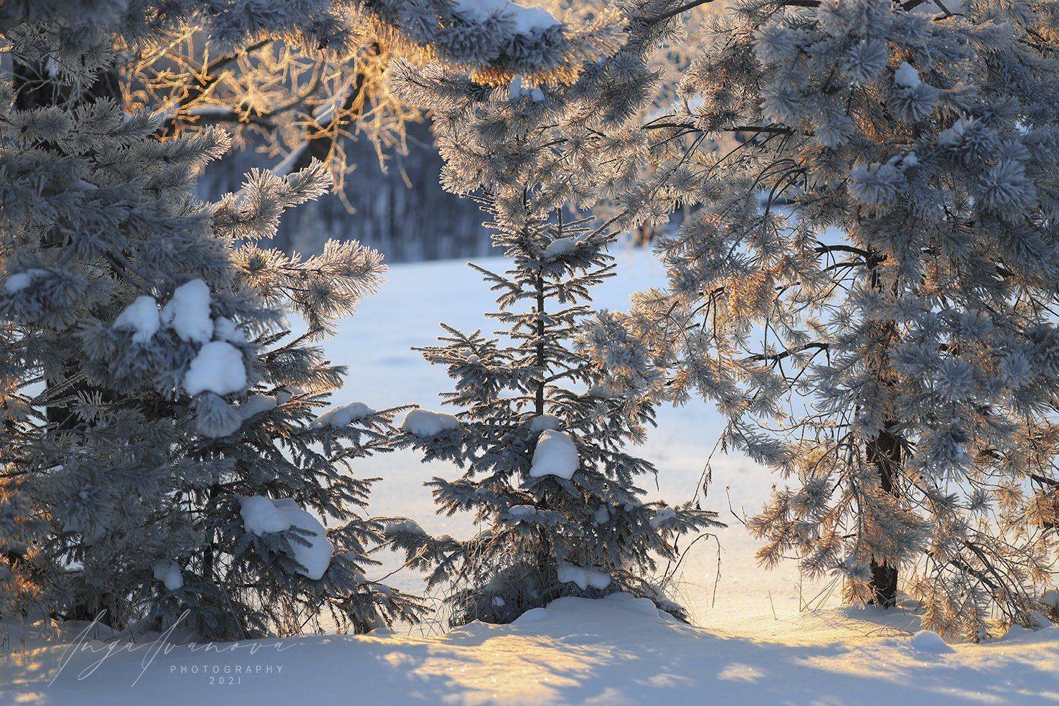 , Инга Иванова