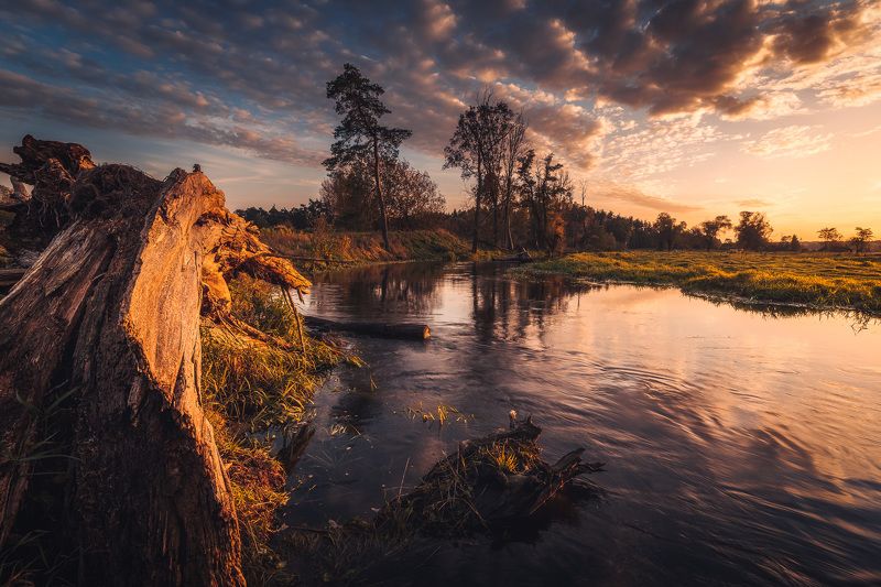 Memory of autumn фото превью