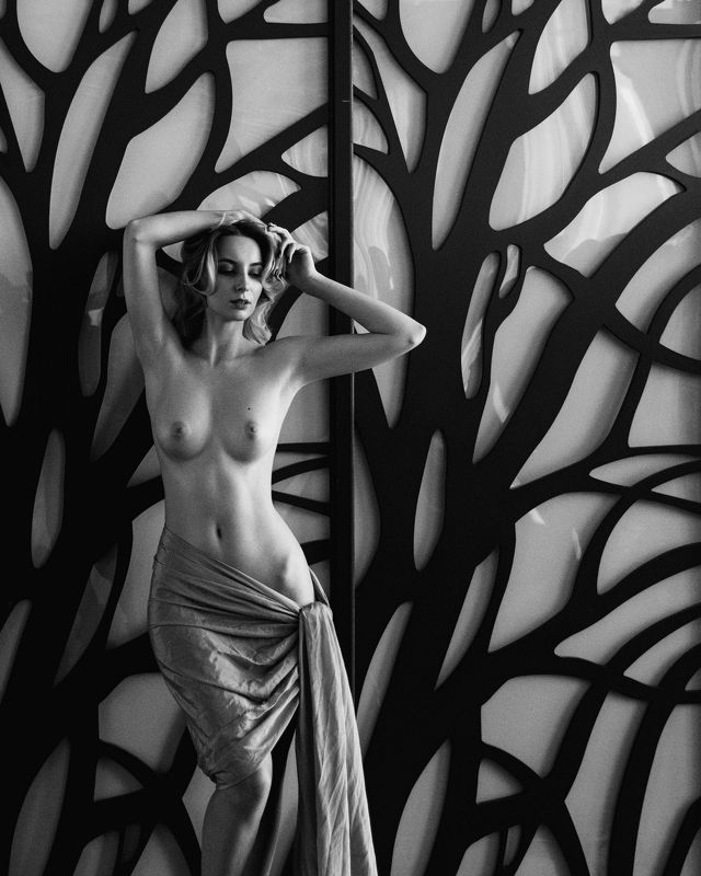 nude, artnu, nu, art, girl, portrait, топлесс, портрет, ню, монохром, черно-белая фотография Alina фото превью