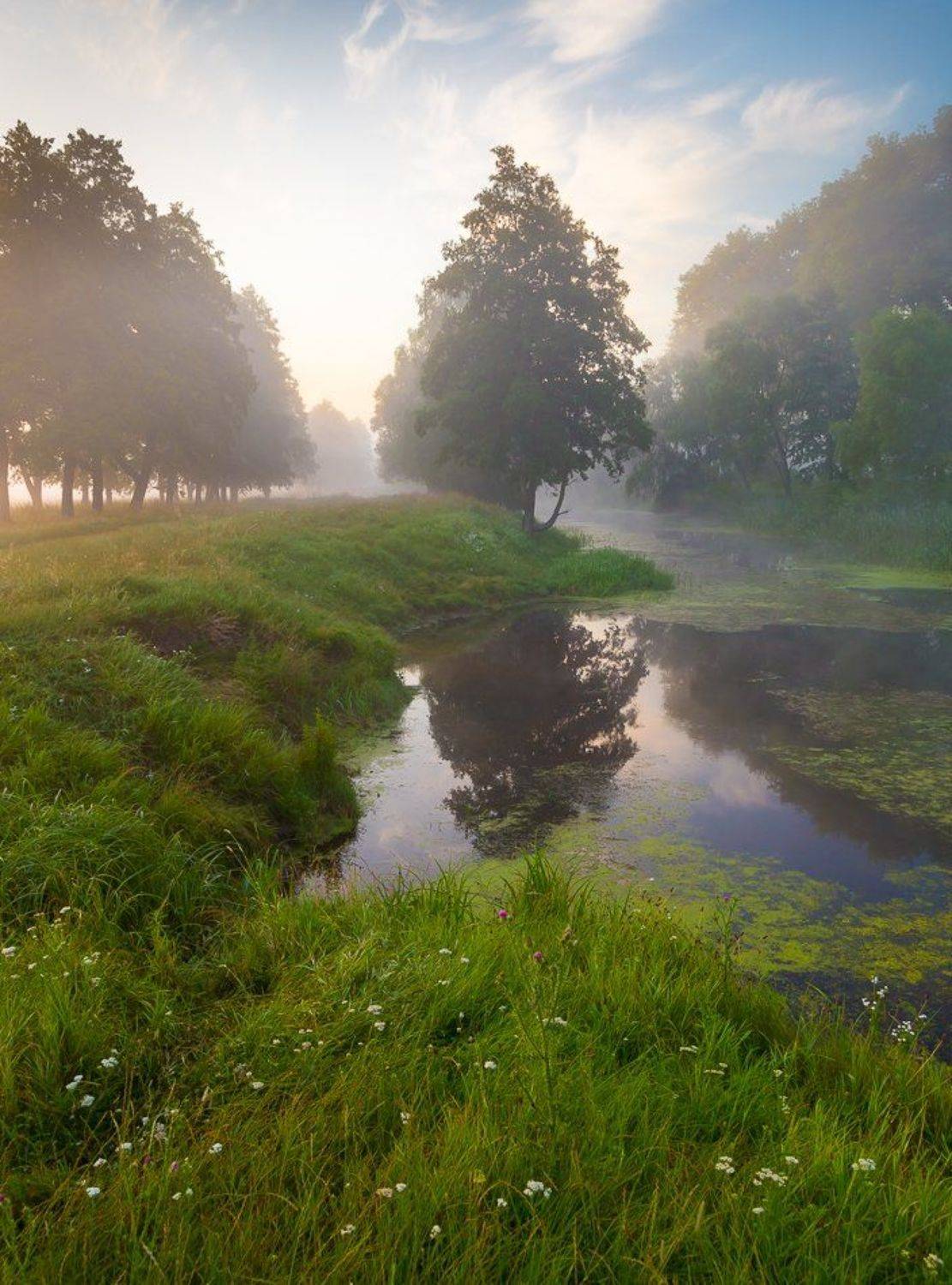 , Александр Подрез