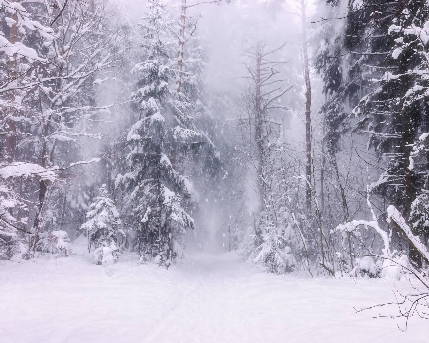 , Алексей Герасимов