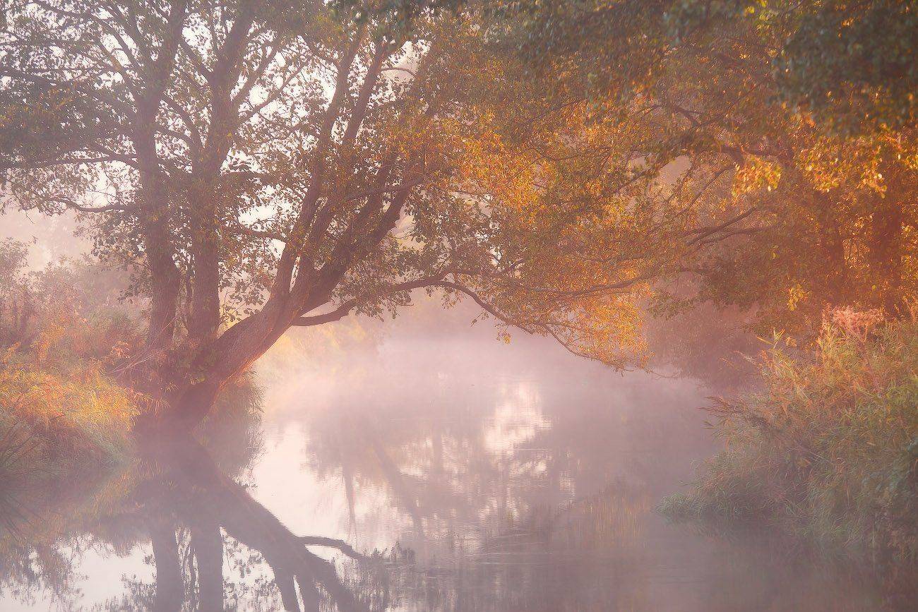 беларусь, осень, рассвет, река, сентябрь, тишина, туман, уса, утро, Вейзе Максим