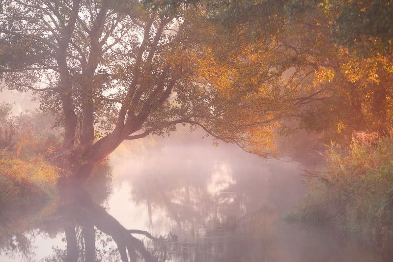 Вспоминаем теплый сентябрь фото превью