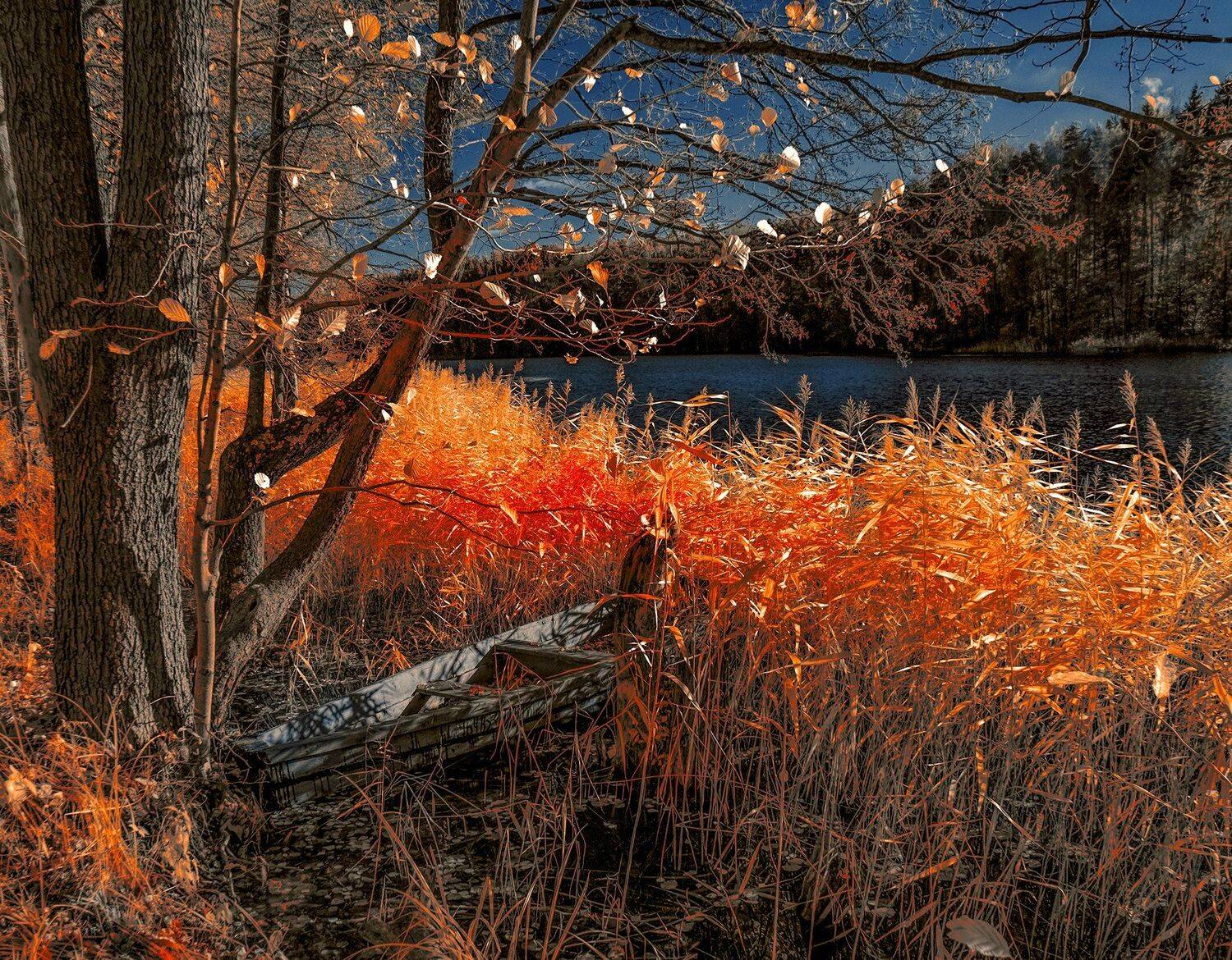infrared,ик-фото,инфракрасное фото, инфракрасная фотография, пейзаж, осень, Sixten ( Сергей )