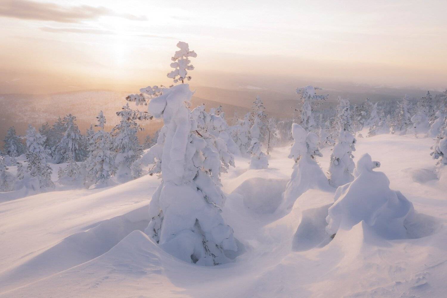 аргыджек, Анатолич