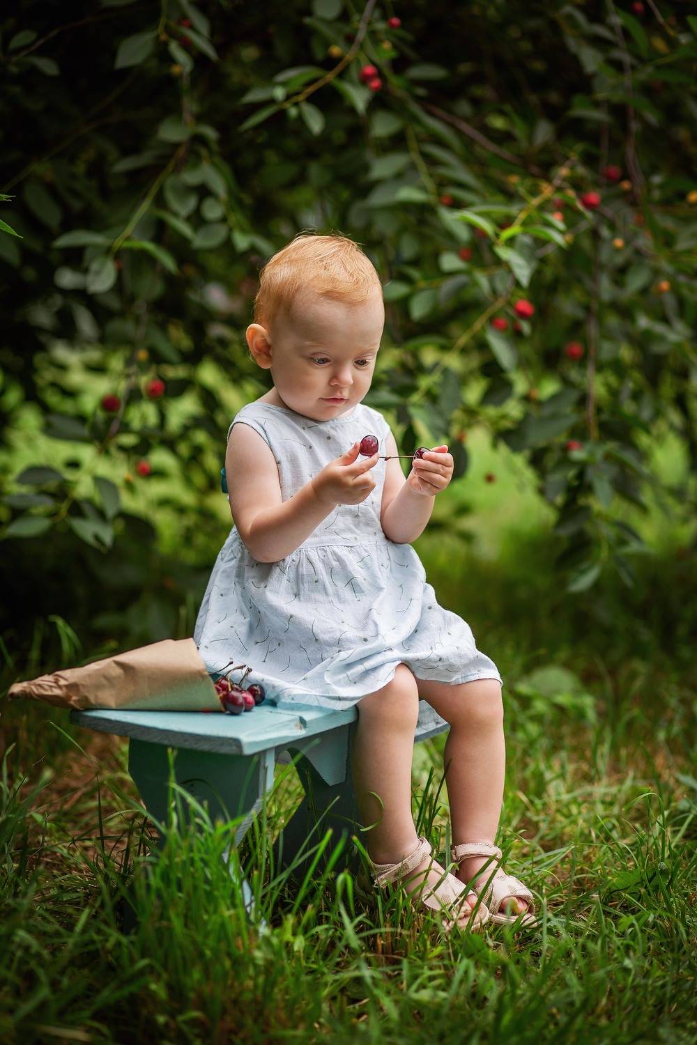 ягоды, черешня, вишня, портрет, девочка, смешной, веселый, детство, малыш, девочка, ребенок, Мила Шелест