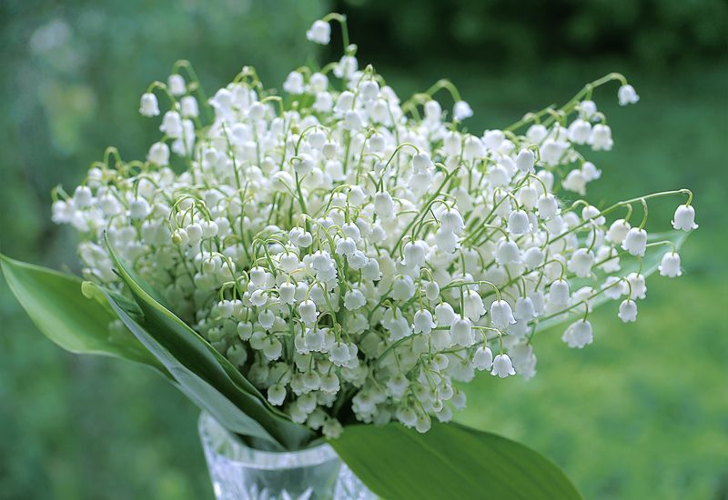 Весна 2 фото превью