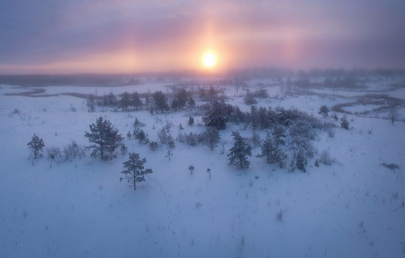 -20 фото превью