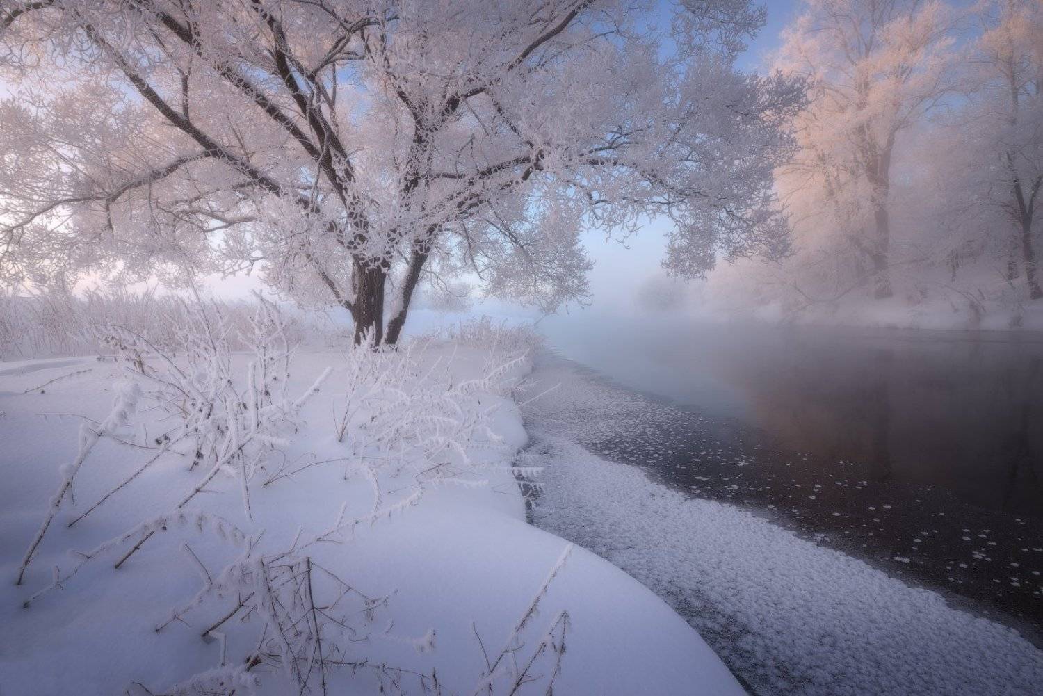 , Евгений Цап