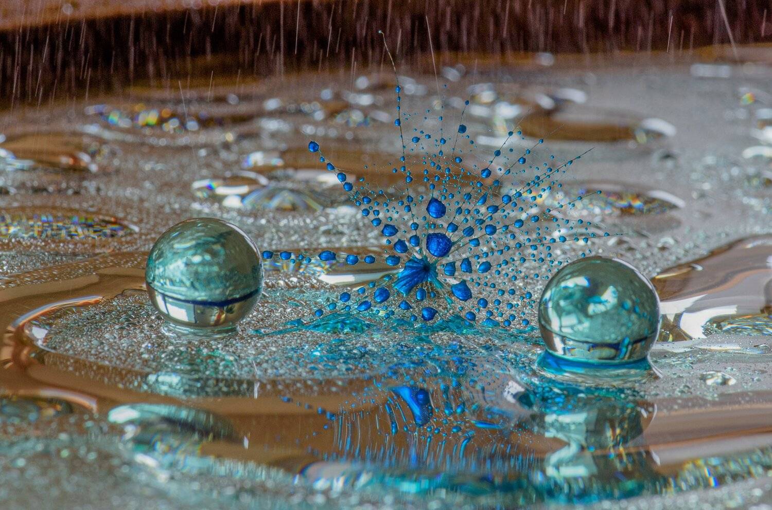 , Таня  Маркова