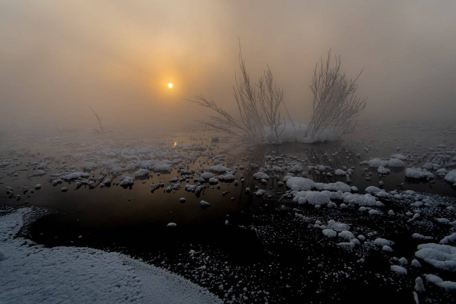 , Комеров Роман