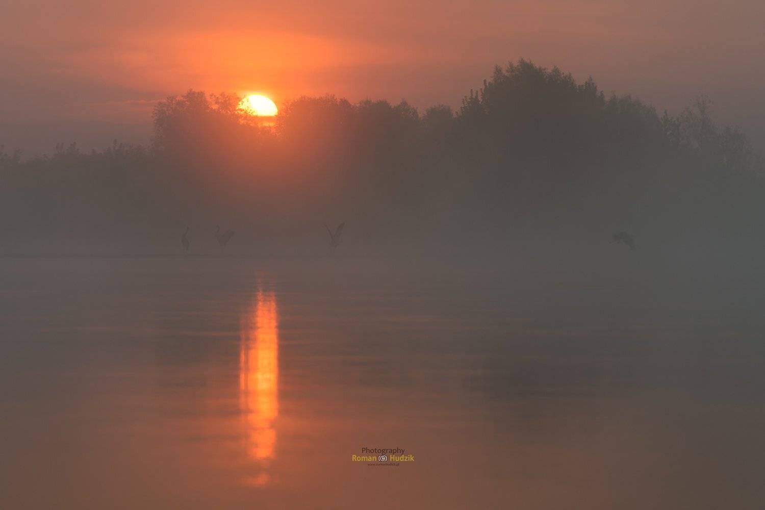 landscape, cranes, sunrise, river, fog,, Roman Hudzik