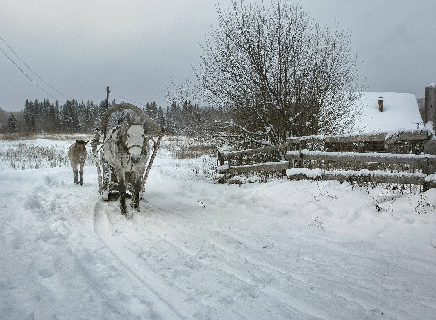 , Федотов Сергей