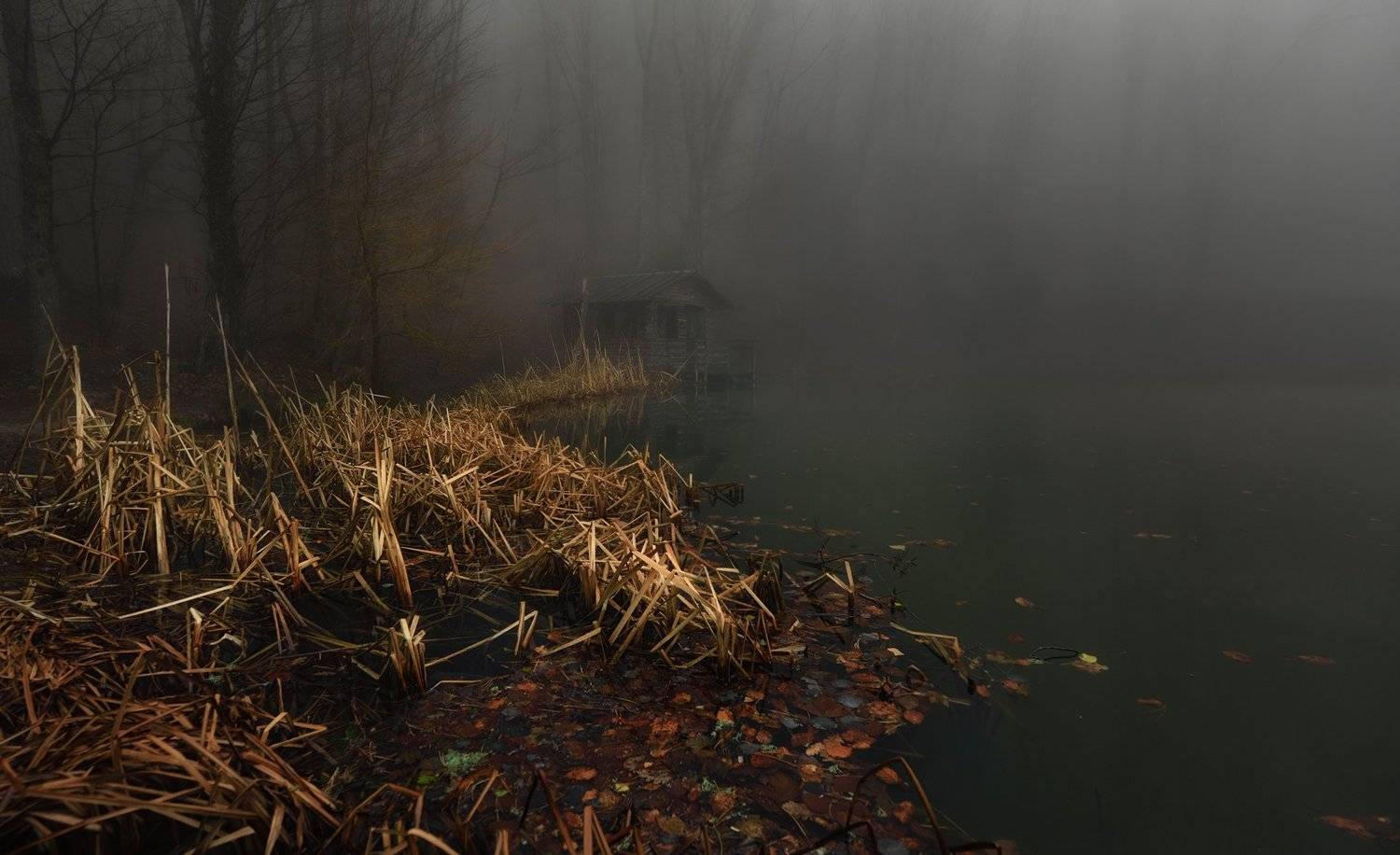 домик озеро туман, Вьюшкин Игорь